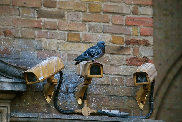 video_control_camera